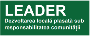 leader-sigla-fond-alb-300x122